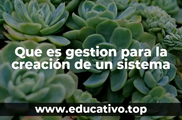 Que es gestion para la creación de un sistema