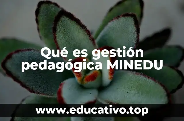 Qué es gestión pedagógica MINEDU