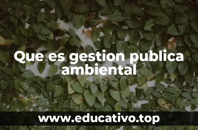 Que es gestion publica ambiental