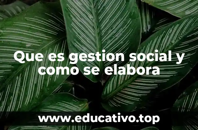 Que es gestion social y como se elabora
