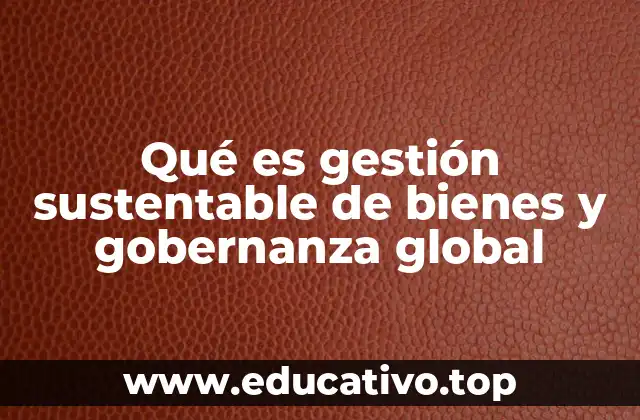 Qué es gestión sustentable de bienes y gobernanza global