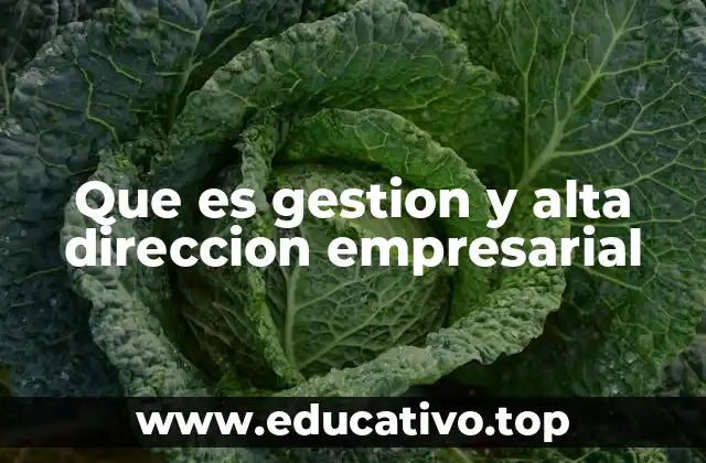 Que es gestion y alta direccion empresarial