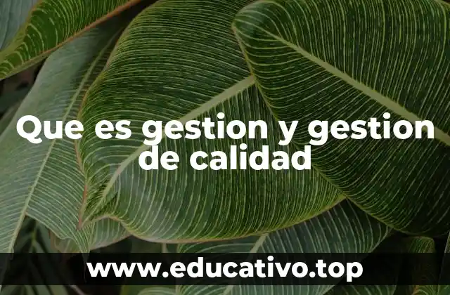 Que es gestion y gestion de calidad