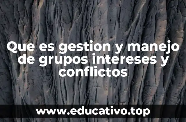 Que es gestion y manejo de grupos intereses y conflictos