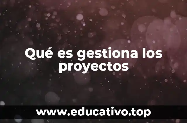 Qué es gestiona los proyectos