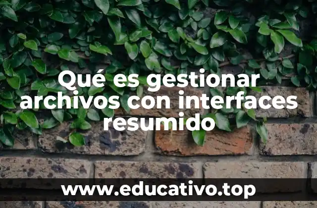 Qué es gestionar archivos con interfaces resumido