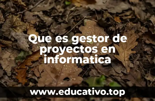 Que es gestor de proyectos en informatica