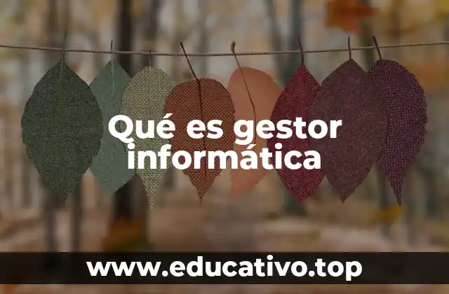 Qué es gestor informática
