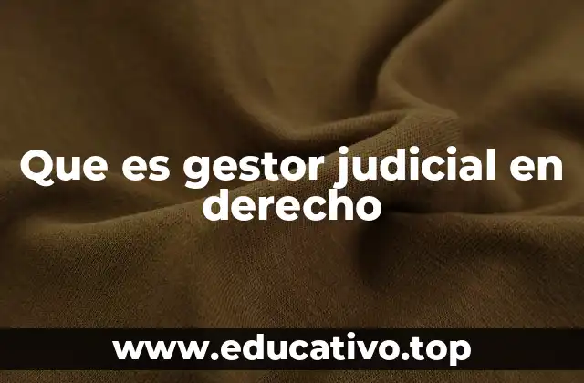 Que es gestor judicial en derecho