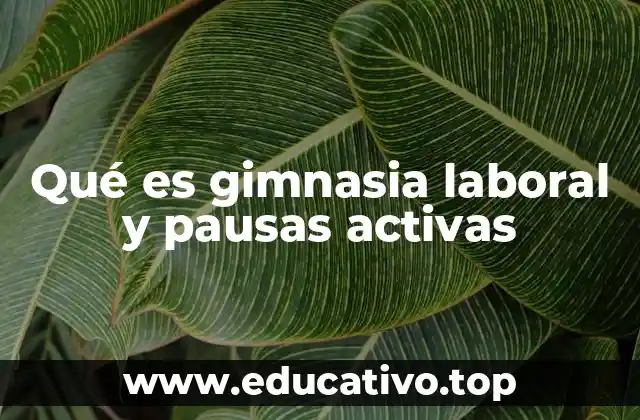 Qué es gimnasia laboral y pausas activas