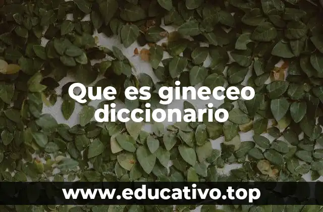 Que es gineceo diccionario