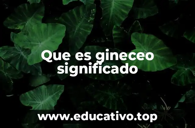 Que es gineceo significado