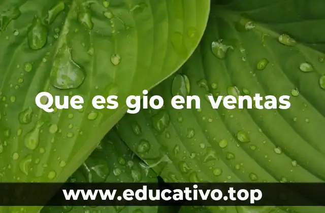 Que es gio en ventas