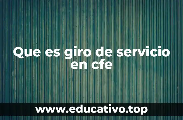 Que es giro de servicio en cfe