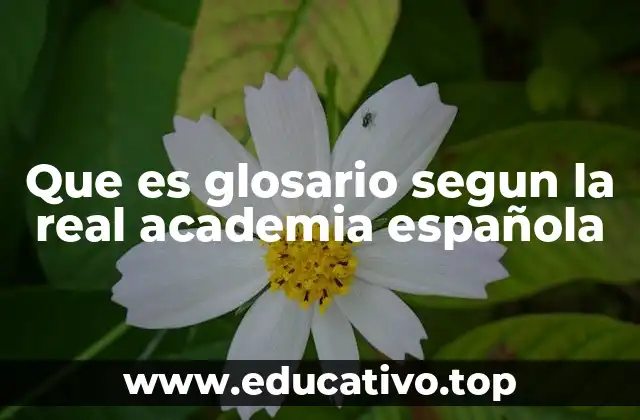 Que es glosario segun la real academia española
