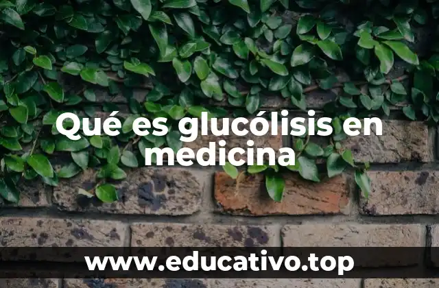 Qué es glucólisis en medicina