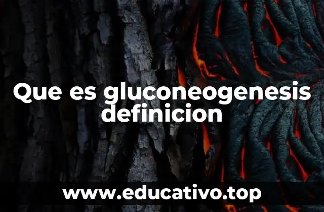 Que es gluconeogenesis definicion