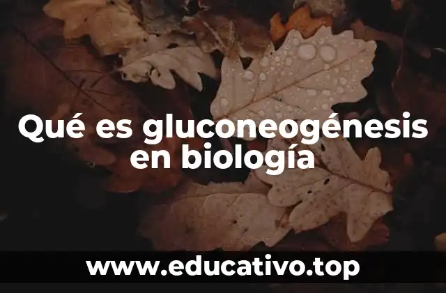 Qué es gluconeogénesis en biología