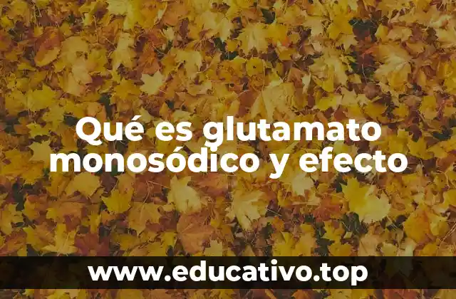 Qué es glutamato monosódico y efecto