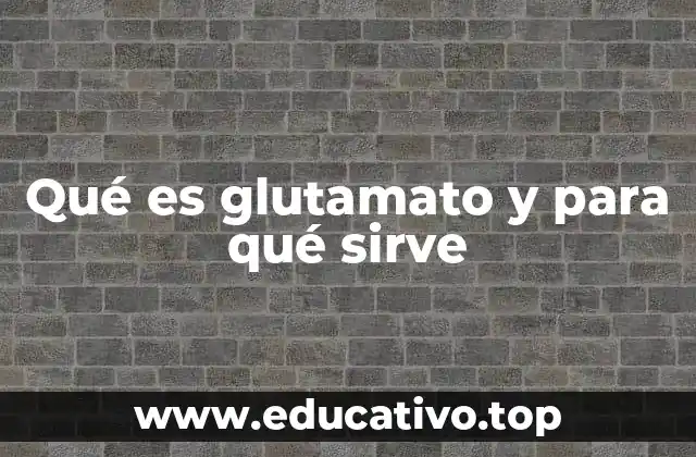 Qué es glutamato y para qué sirve
