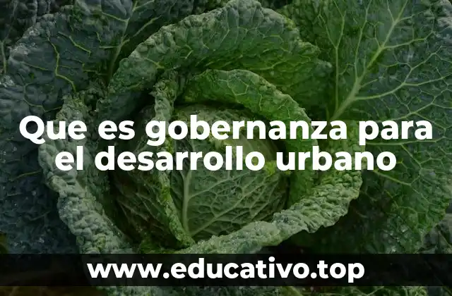 Que es gobernanza para el desarrollo urbano