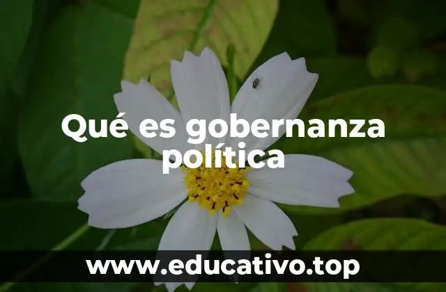 Qué es gobernanza política