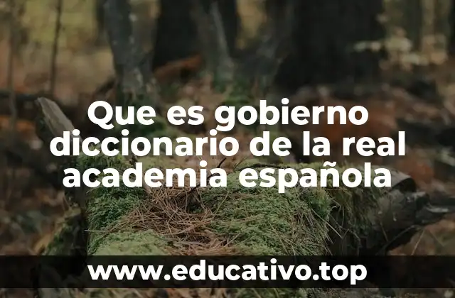 Que es gobierno diccionario de la real academia española