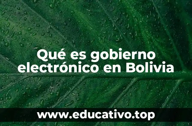 Qué es gobierno electrónico en Bolivia