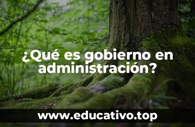 ¿Qué es gobierno en administración?