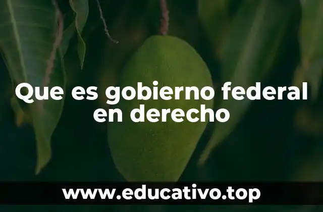 La importancia del gobierno federal en el marco constitucional