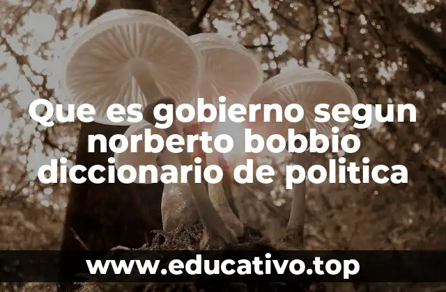 Que es gobierno segun norberto bobbio diccionario de politica