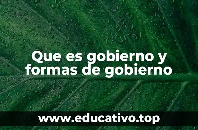 Que es gobierno y formas de gobierno