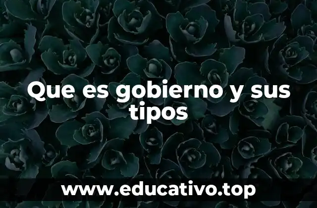Que es gobierno y sus tipos