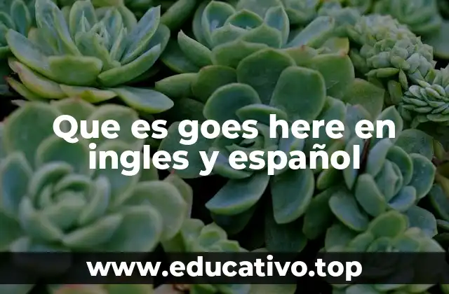 Que es goes here en ingles y español