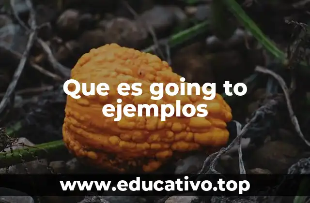 Que es going to ejemplos