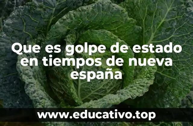 Que es golpe de estado en tiempos de nueva españa