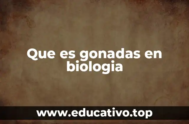 Que es gonadas en biologia