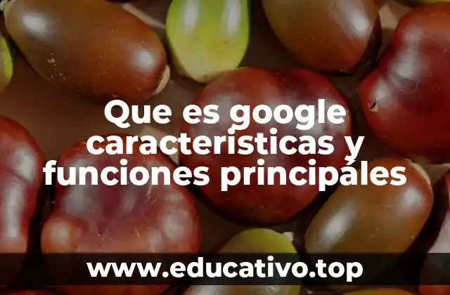 Que es google caracteristicas y funciones principáles