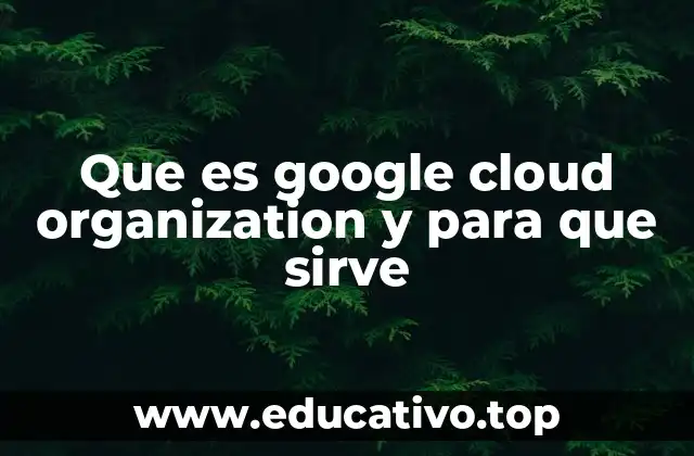 Que es google cloud organization y para que sirve