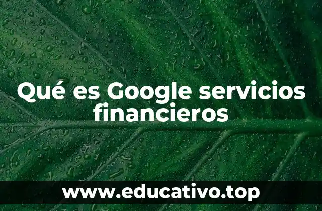 Qué es Google servicios financieros