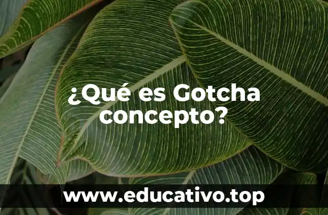 ¿Qué es Gotcha concepto?