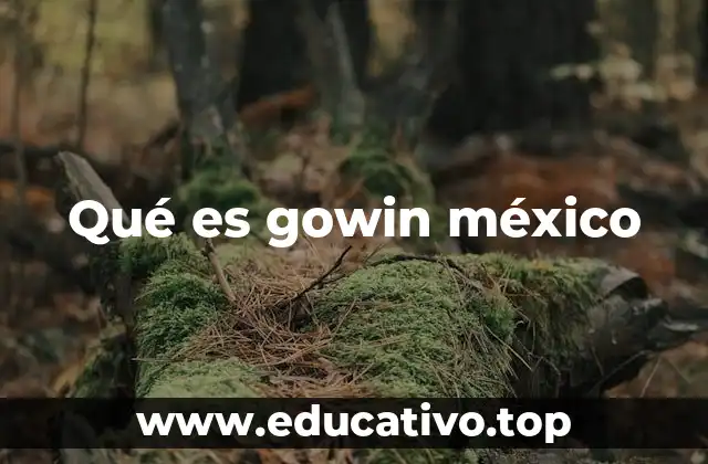 Qué es gowin méxico