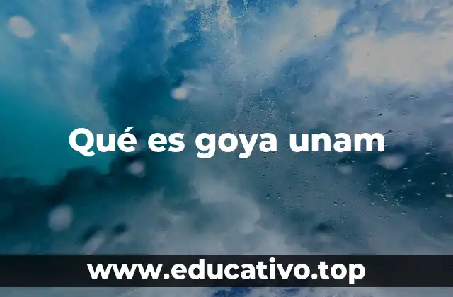Qué es goya unam