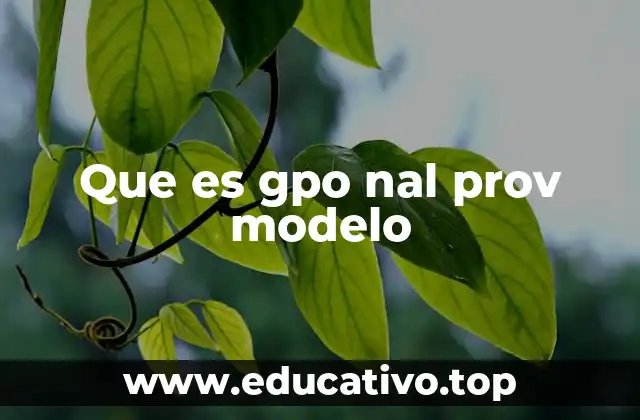 Que es gpo nal prov modelo