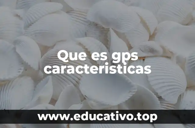 Que es gps caracteristicas