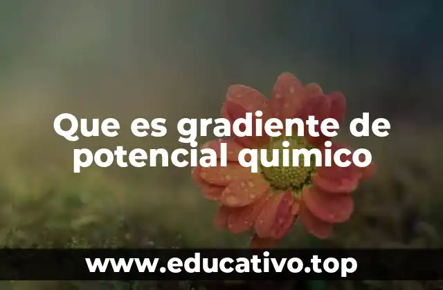 Que es gradiente de potencial quimico
