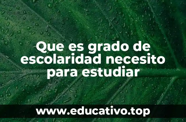 Que es grado de escolaridad necesito para estudiar