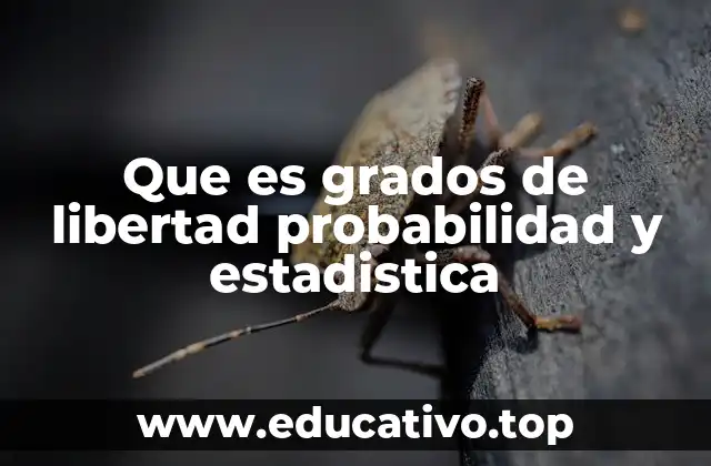 La importancia de los grados de libertad en la estadística inferencial