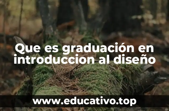 Que es graduación en introduccion al diseño