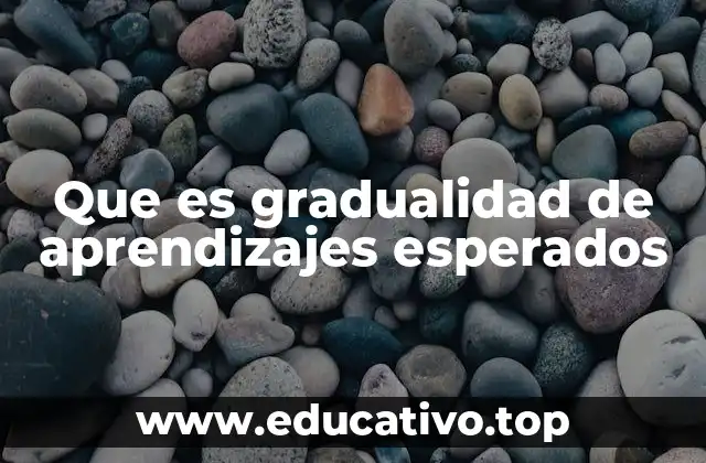 Que es gradualidad de aprendizajes esperados